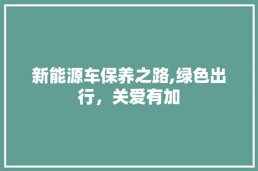 新能源车保养之路,绿色出行，关爱有加