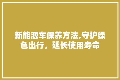 新能源车保养方法,守护绿色出行，延长使用寿命