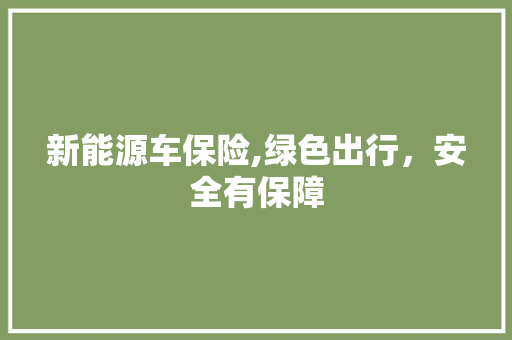 新能源车保险,绿色出行，安全有保障