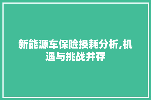 新能源车保险损耗分析,机遇与挑战并存