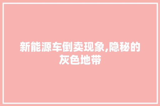 新能源车倒卖现象,隐秘的灰色地带