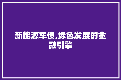 新能源车债,绿色发展的金融引擎