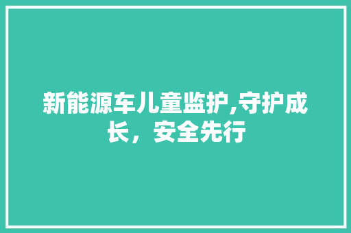 新能源车儿童监护,守护成长，安全先行