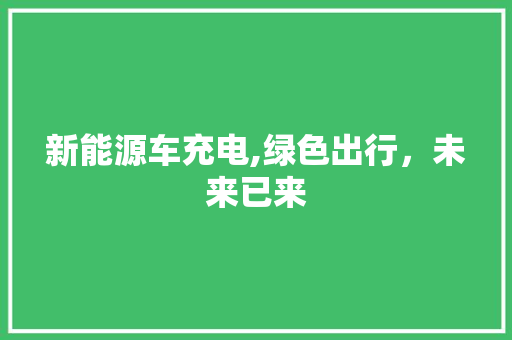 新能源车充电,绿色出行，未来已来