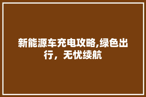 新能源车充电攻略,绿色出行，无忧续航