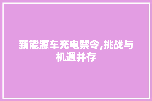 新能源车充电禁令,挑战与机遇并存  第1张