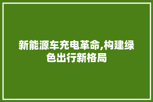 新能源车充电革命,构建绿色出行新格局