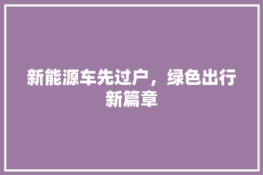 新能源车先过户，绿色出行新篇章