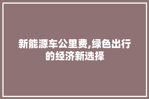 新能源车公里费,绿色出行的经济新选择