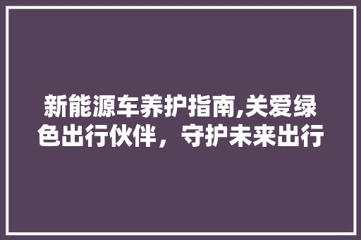 新能源车养护指南,关爱绿色出行伙伴，守护未来出行梦想