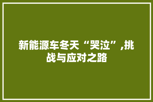 新能源车冬天“哭泣”,挑战与应对之路