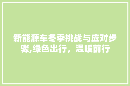 新能源车冬季挑战与应对步骤,绿色出行，温暖前行