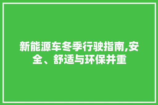 新能源车冬季行驶指南,安全、舒适与环保并重