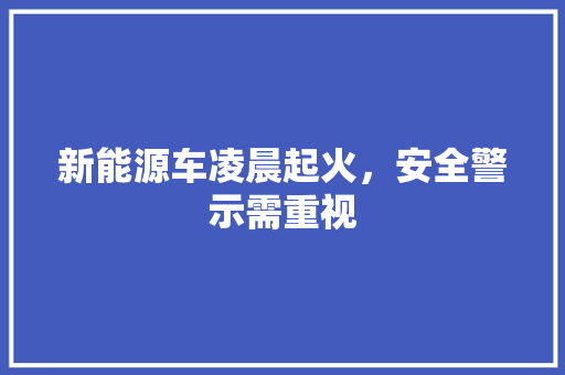 新能源车凌晨起火，安全警示需重视