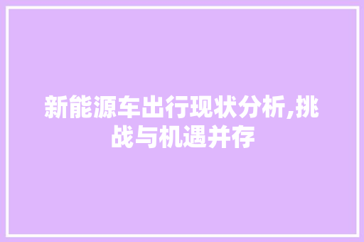 新能源车出行现状分析,挑战与机遇并存