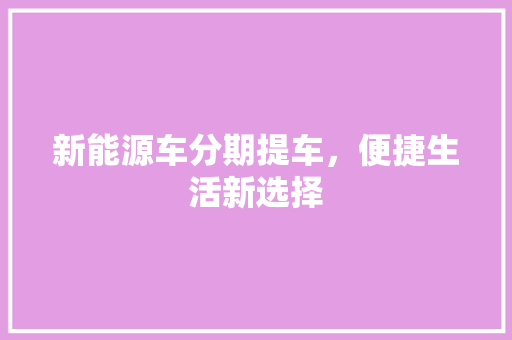 新能源车分期提车，便捷生活新选择  第1张