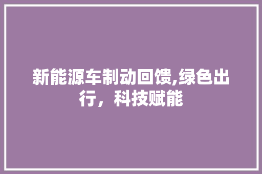 新能源车制动回馈,绿色出行，科技赋能