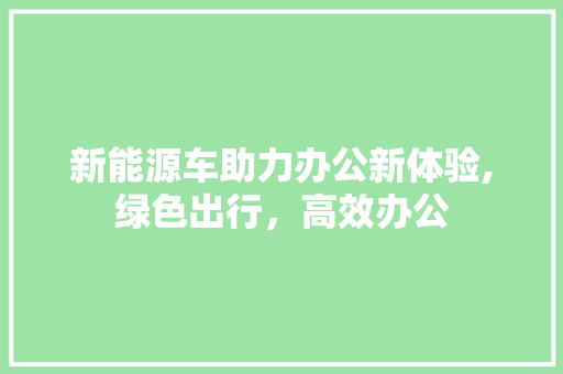 新能源车助力办公新体验,绿色出行，高效办公