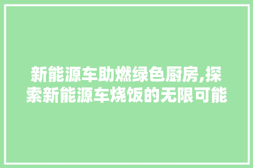 新能源车助燃绿色厨房,探索新能源车烧饭的无限可能