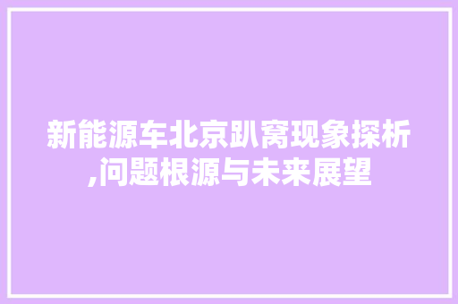 新能源车北京趴窝现象探析,问题根源与未来展望  第1张