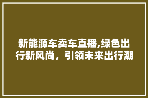 新能源车卖车直播,绿色出行新风尚，引领未来出行潮流