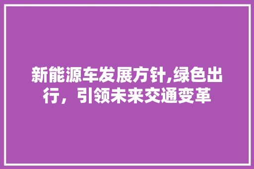 新能源车发展方针,绿色出行，引领未来交通变革