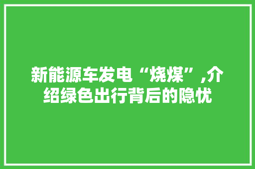 新能源车发电“烧煤”,介绍绿色出行背后的隐忧