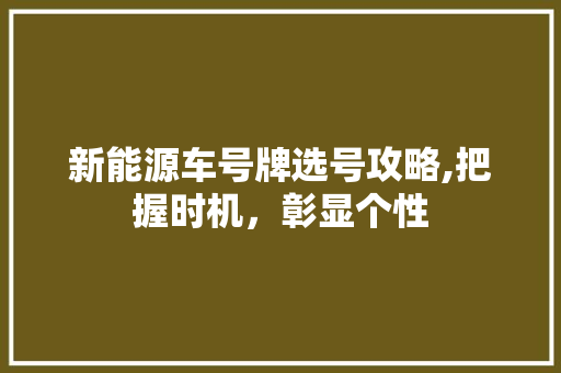 新能源车号牌选号攻略,把握时机，彰显个性