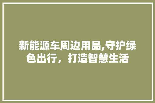 新能源车周边用品,守护绿色出行，打造智慧生活