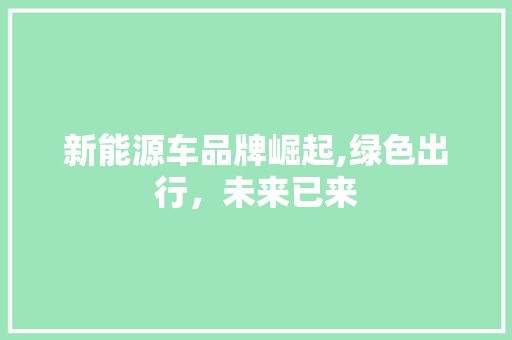 新能源车品牌崛起,绿色出行，未来已来