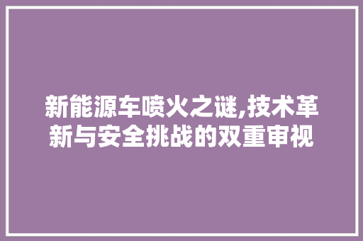 新能源车喷火之谜,技术革新与安全挑战的双重审视  第1张