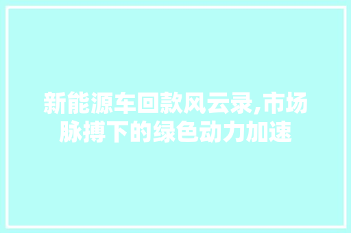 新能源车回款风云录,市场脉搏下的绿色动力加速