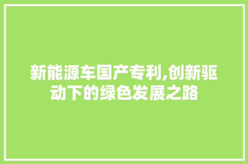 新能源车国产专利,创新驱动下的绿色发展之路  第1张