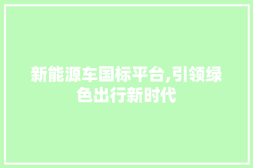 新能源车国标平台,引领绿色出行新时代