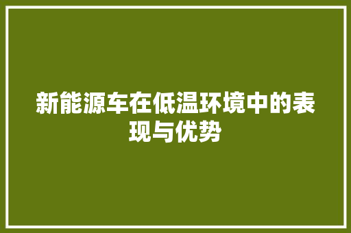 新能源车在低温环境中的表现与优势