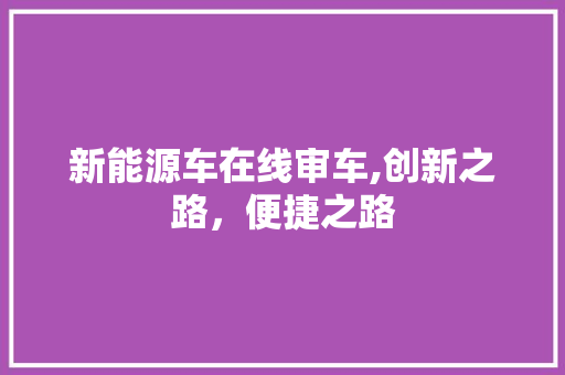 新能源车在线审车,创新之路，便捷之路