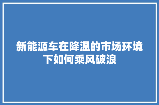 新能源车在降温的市场环境下如何乘风破浪