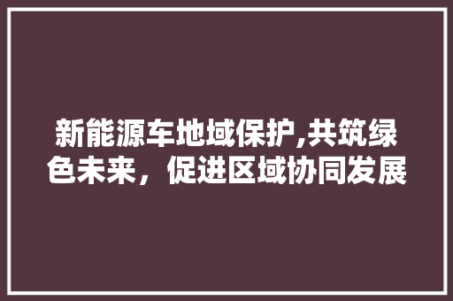 新能源车地域保护,共筑绿色未来，促进区域协同发展