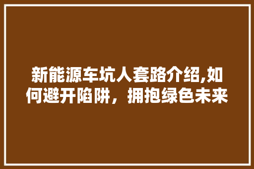 新能源车坑人套路介绍,如何避开陷阱，拥抱绿色未来