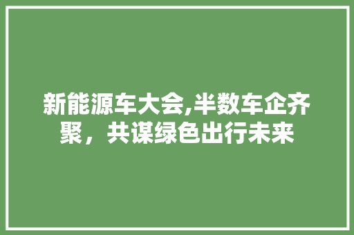 新能源车大会,半数车企齐聚，共谋绿色出行未来