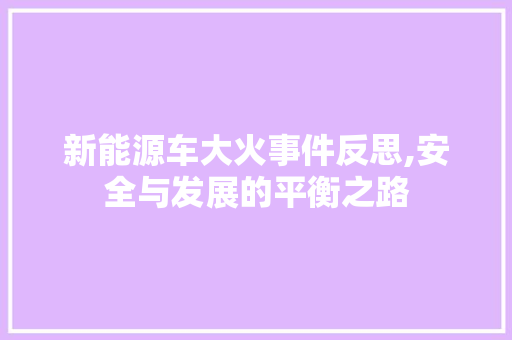 新能源车大火事件反思,安全与发展的平衡之路