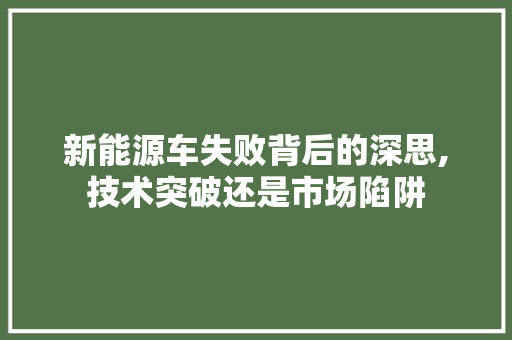 新能源车失败背后的深思,技术突破还是市场陷阱