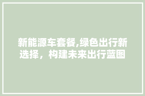 新能源车套餐,绿色出行新选择，构建未来出行蓝图