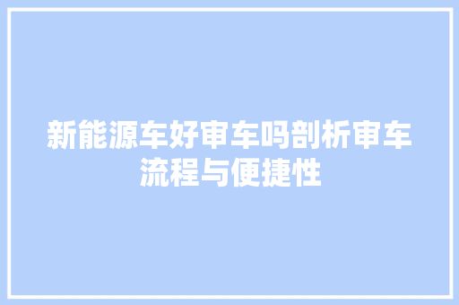 新能源车好审车吗剖析审车流程与便捷性