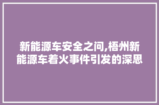 新能源车安全之问,梧州新能源车着火事件引发的深思