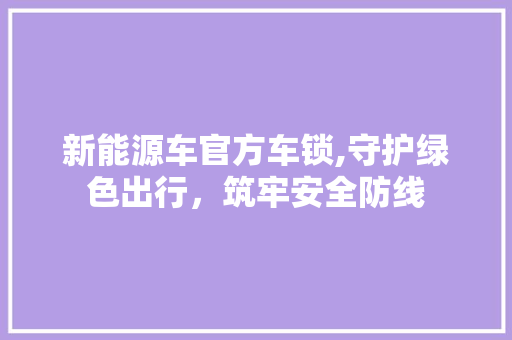 新能源车官方车锁,守护绿色出行，筑牢安全防线