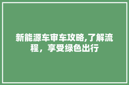 新能源车审车攻略,了解流程，享受绿色出行