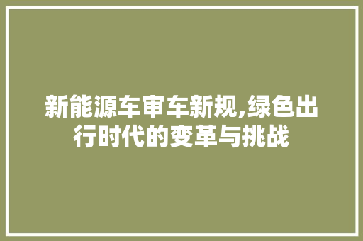 新能源车审车新规,绿色出行时代的变革与挑战