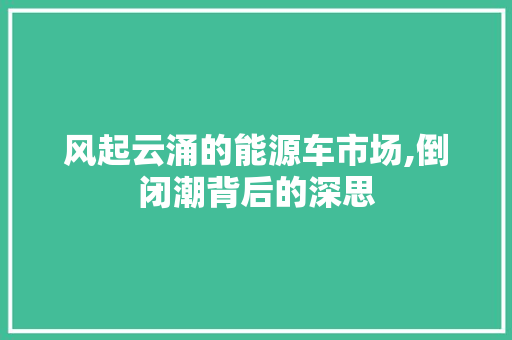 风起云涌的能源车市场,倒闭潮背后的深思  第1张