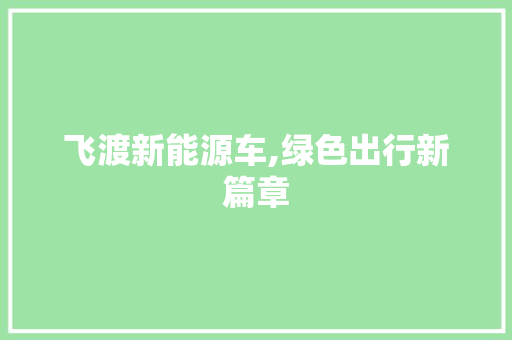 飞渡新能源车,绿色出行新篇章